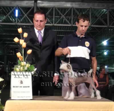 Clique sobre a foto para fechar